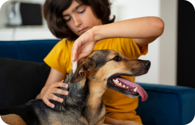 Child petting dog
