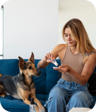 Woman brushing dog's teeth
